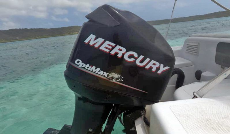 
								DINGHY CARIBE 17 full									