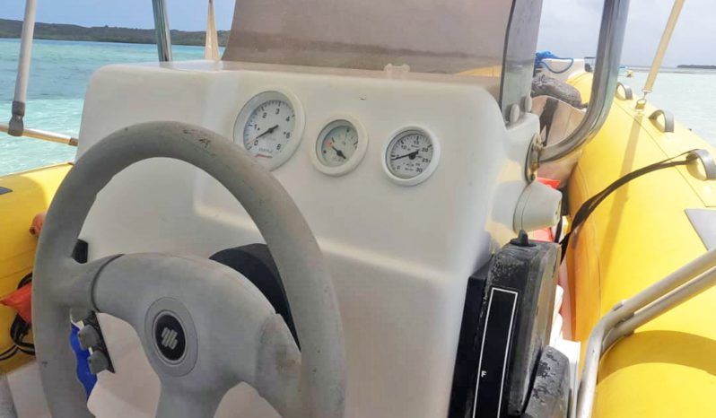 
								DINGHY CARIBE 17 full									