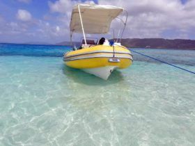 DINGHY CARIBE 17