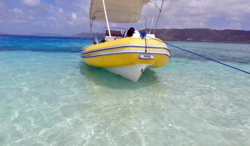 
								DINGHY CARIBE 17 full									