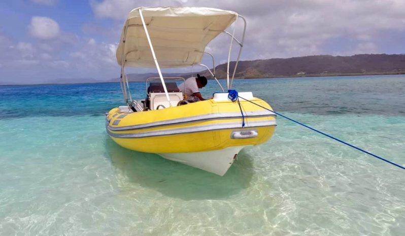 
								DINGHY CARIBE 17 full									