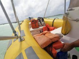 
										DINGHY CARIBE 17 full									