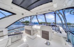 
										SEA RAY SEDAN BRIDGE 45 full									