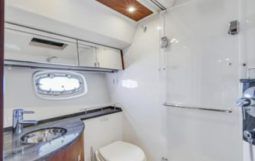 
										SEA RAY SEDAN BRIDGE 45 full									