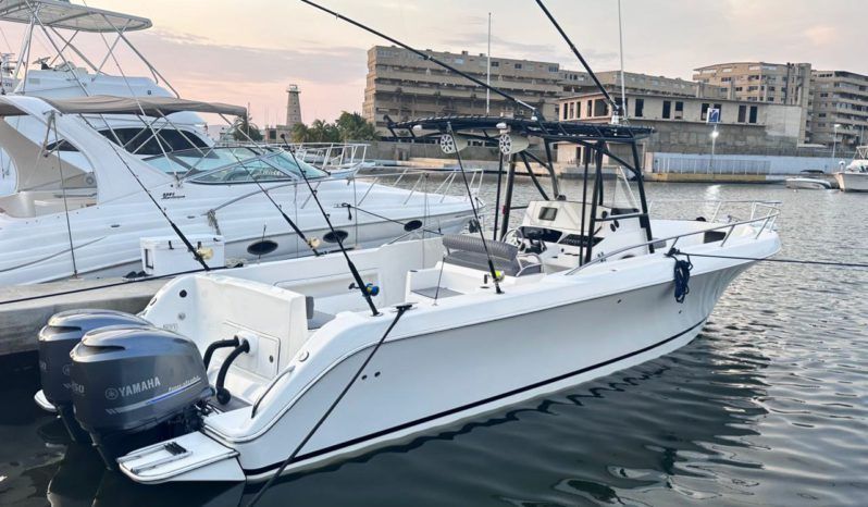 
								INTERMARINE OPEN FISHERMAN 330 33 full									