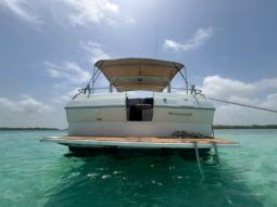 
										WELLCRAFT ST TROPEZ 3200 32 full									