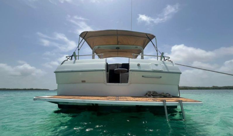 
								WELLCRAFT ST TROPEZ 3200 32 full									