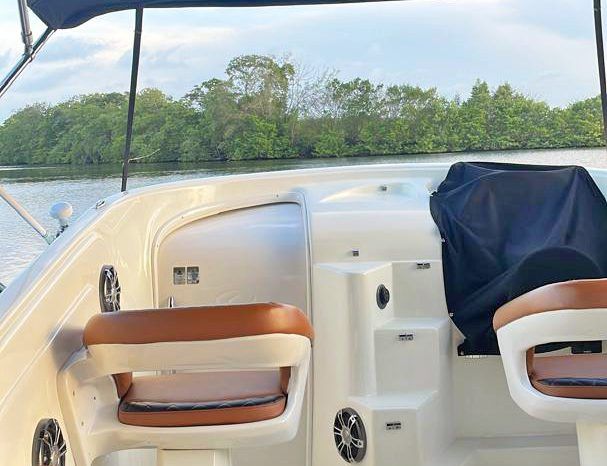 LEGACY 34 full