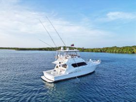 HATTERAS CONVERTIBLE 50