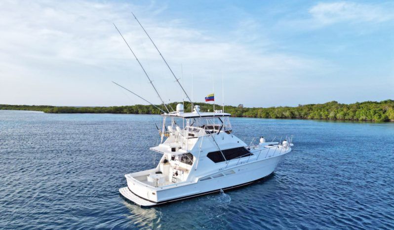 
								HATTERAS CONVERTIBLE 50 full									