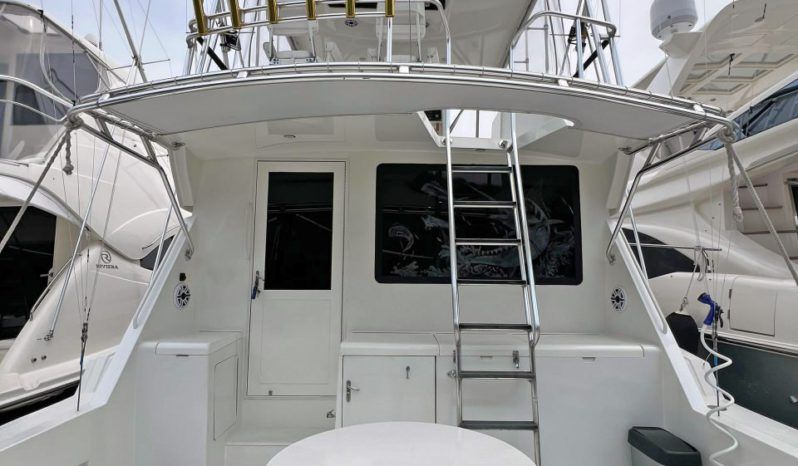 
								HATTERAS CONVERTIBLE 50 full									