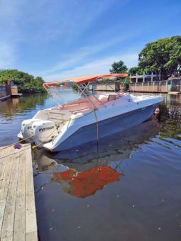 
										INTERMARINE AVANTI 35 full									