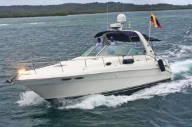 SEA RAY SUNDANCER 34