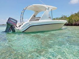 AQUANAUTI TITANIUM 24