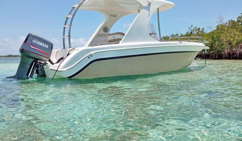 
								AQUANAUTI TITANIUM 24 full									