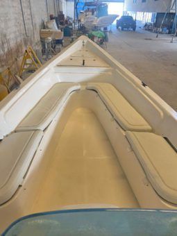 ADVANCE MARINE 28 full