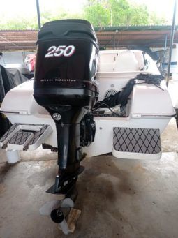 
										BLACK JACK 21 full									