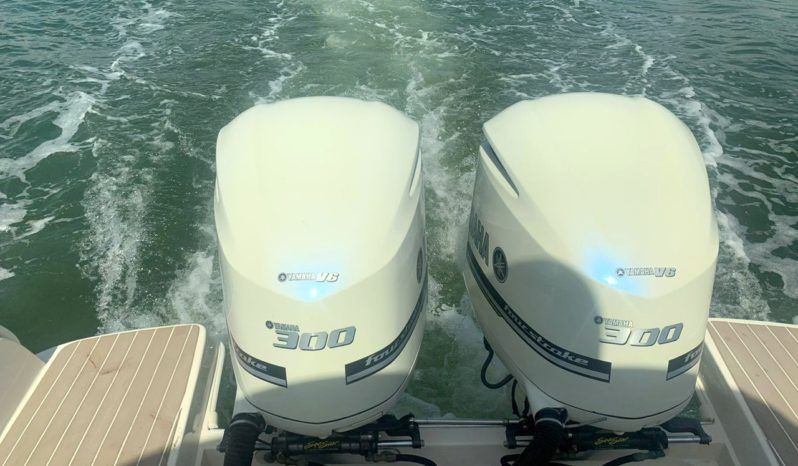 
								PROMARINE EXPRESS 34 full									
