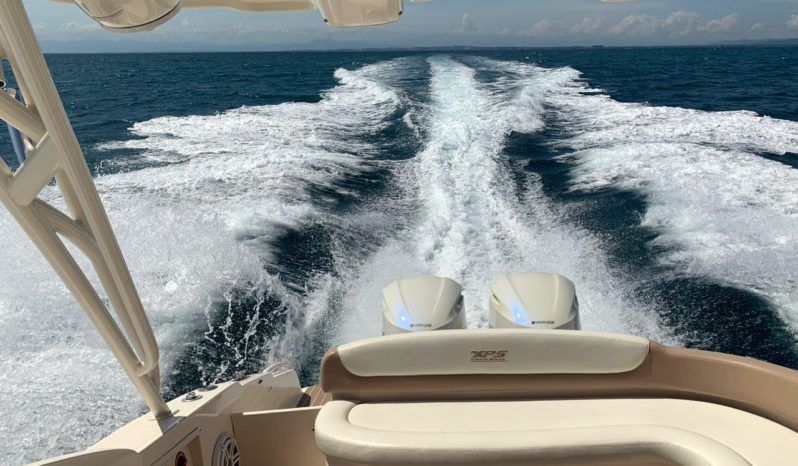 
								PROMARINE EXPRESS 34 full									