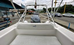
										DINGHY CARIBE DL 20 full									