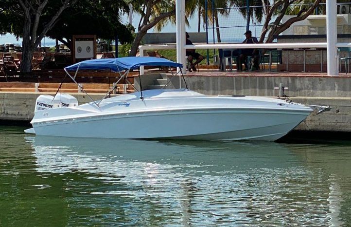 
								INTERMARINE Z29 full									