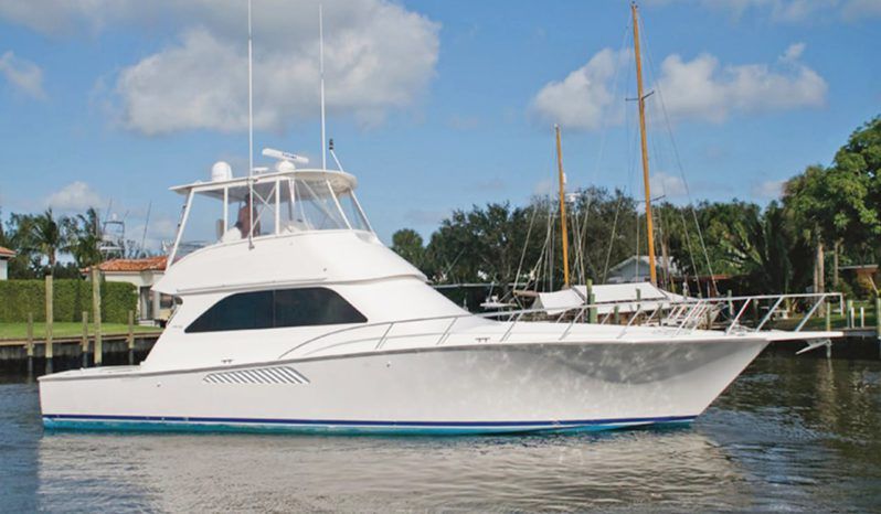 
								VIKING CONVERTIBLE 52 full									
