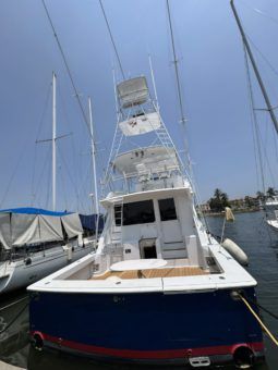 VIKING CONVERTIBLE 58 full