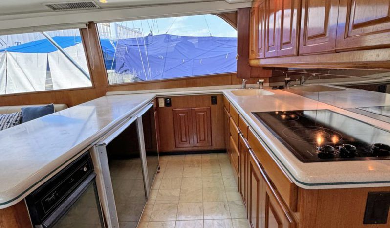 VIKING CONVERTIBLE 58 full