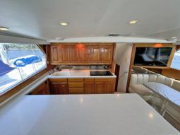 VIKING CONVERTIBLE 58 full