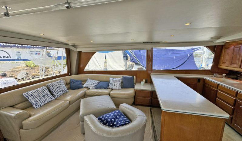 VIKING CONVERTIBLE 58 full