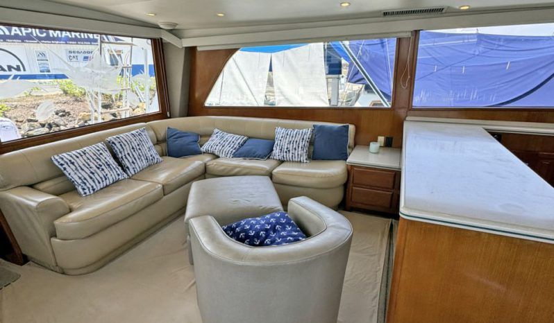 VIKING CONVERTIBLE 58 full