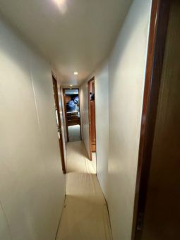 VIKING CONVERTIBLE 58 full