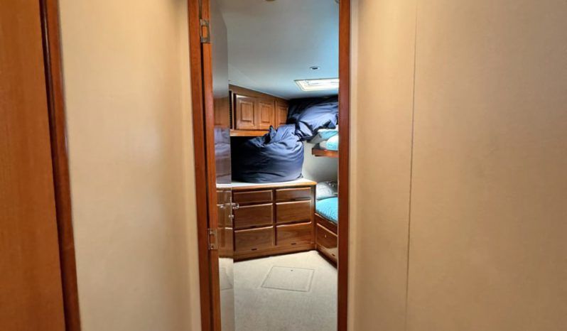 VIKING CONVERTIBLE 58 full