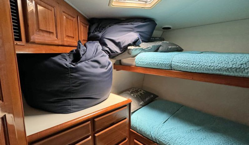 VIKING CONVERTIBLE 58 full