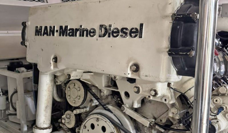 VIKING CONVERTIBLE 58 full