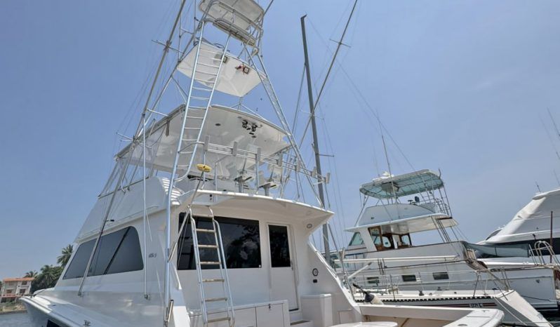 VIKING CONVERTIBLE 58 full