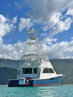 VIKING CONVERTIBLE 58 full