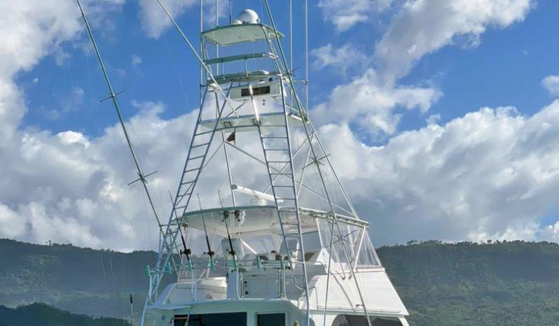 VIKING CONVERTIBLE 58 full