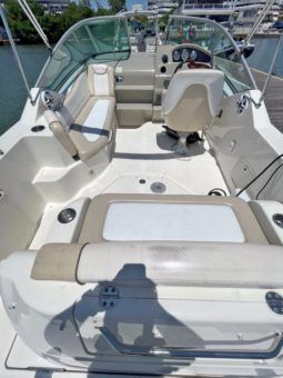 
										SEA RAY SUNDANCER 240 24 full									