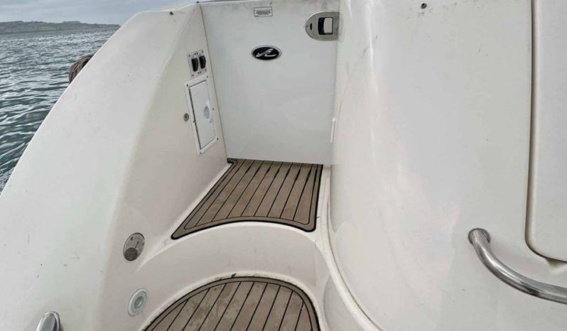 
								SEA RAY SUNDANCER 52 full									