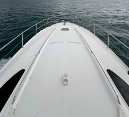 
										SEA RAY SUNDANCER 52 full									