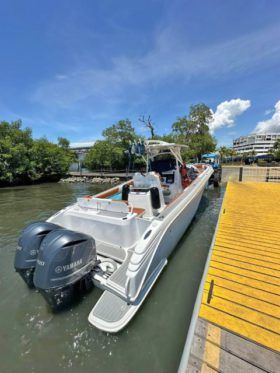 PROMARINE OPEN 33
