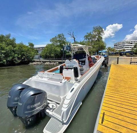 
								PROMARINE OPEN 33 full									