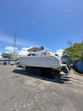 PROMARINE OPEN 33