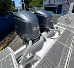 
										PROMARINE OPEN 33 full									
