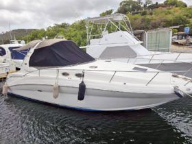 SEA RAY SUNDANCER 32