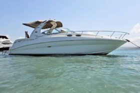 SEA RAY SUNDANCER 32