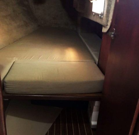 VELERO BENETEAUR FIRTS 35 full