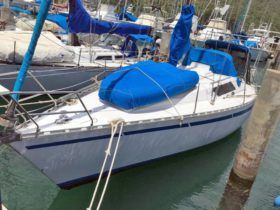 VELERO BENETEAUR FIRTS 35