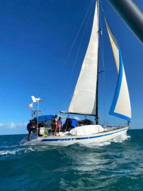 VELERO BENETEAUR FIRTS 35